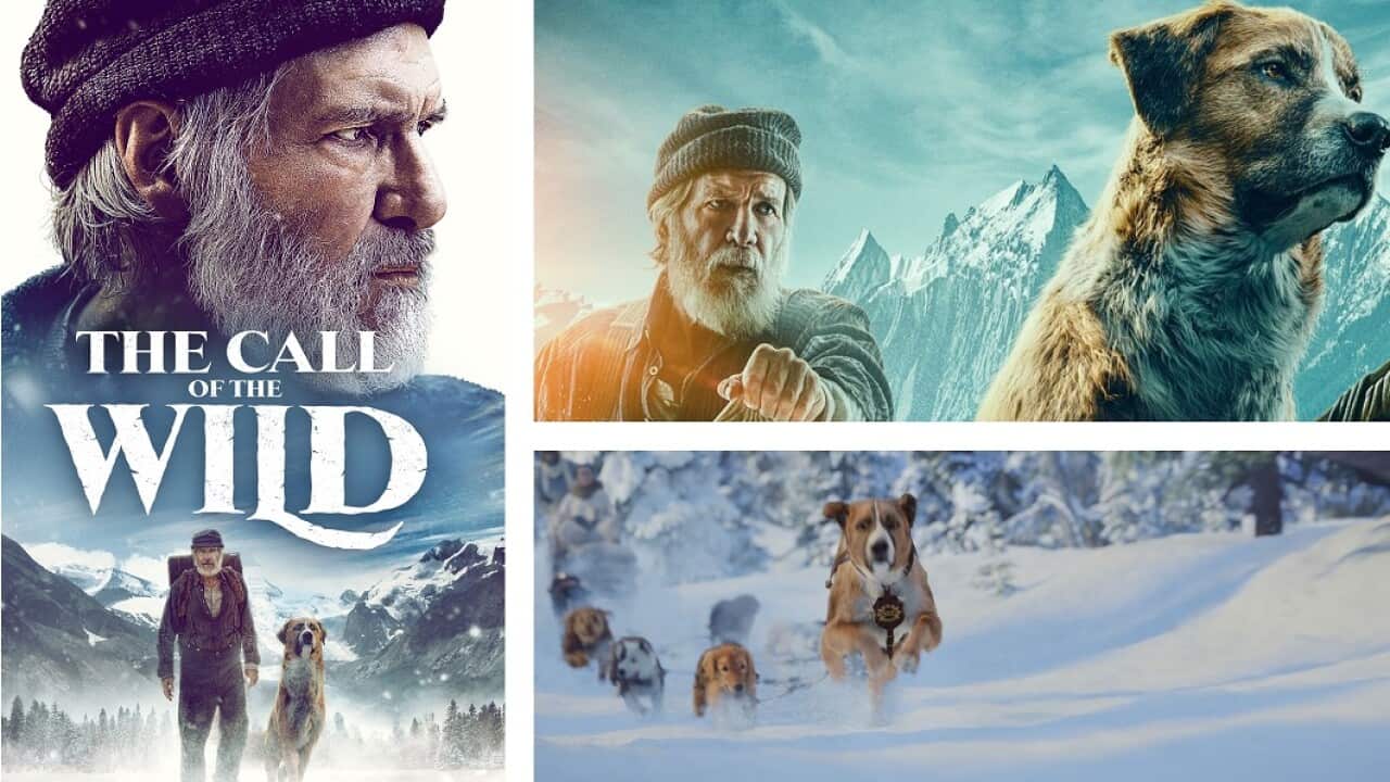 "Nudutu Cinemawa” – Analysis of " The Call of the Wild " English Movie