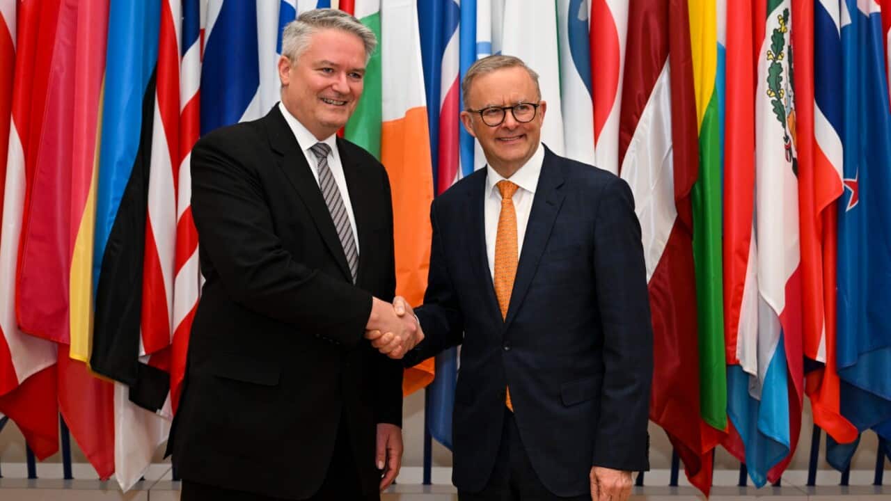 SBS News in Macedonian 1 July 2022