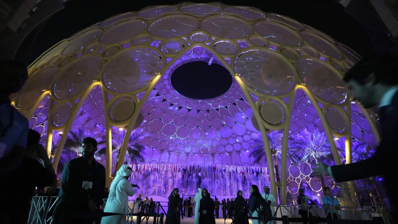 COP28 Climate Summit