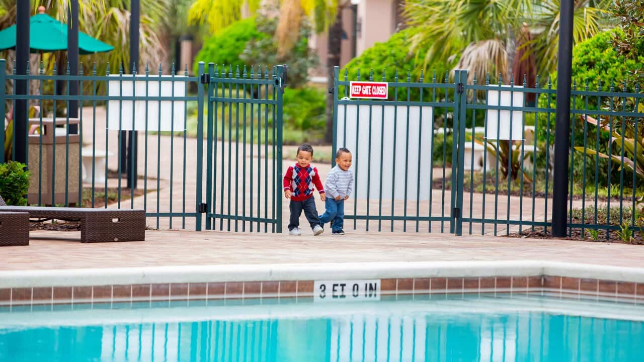 Terrible two's!. Twin boys get into a gate to pool