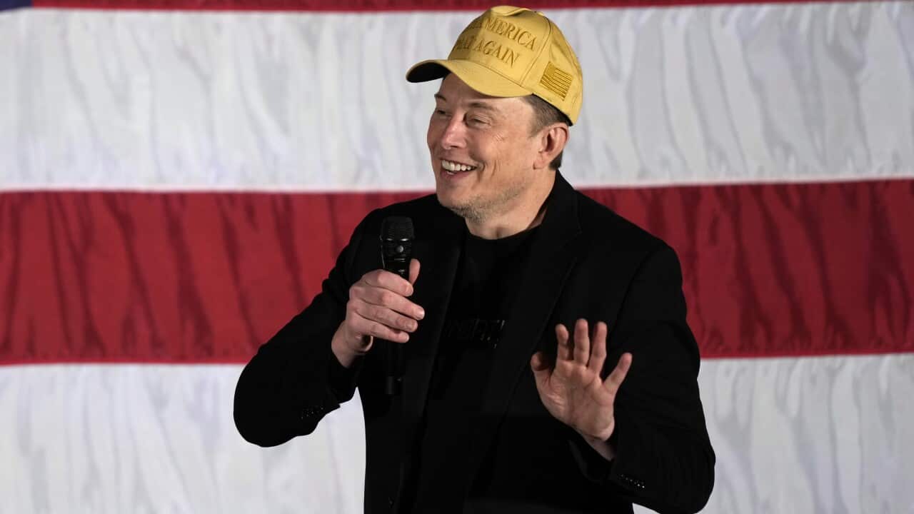 Election 2024 Musk