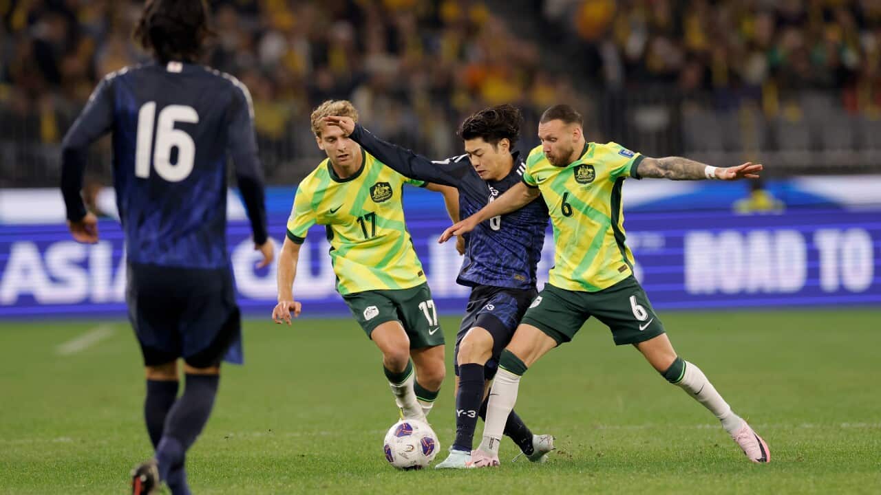 Socceroos Snatch Thrilling Victory Over Japan, World Cup Dream Closer!