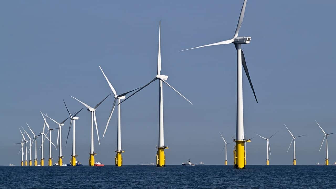 Wind farm