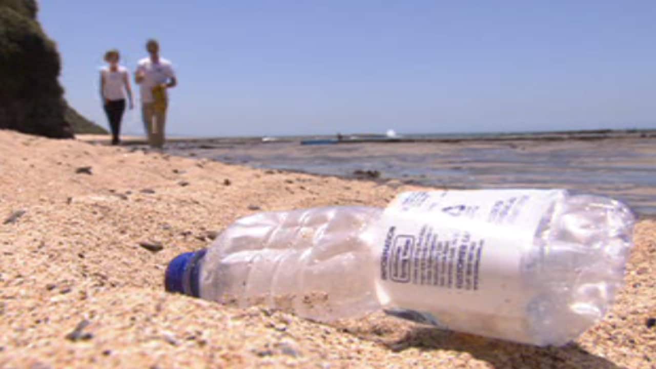 Plastic-free Wollongong hopes to rid the local beaches of this type of single-use plastic. 