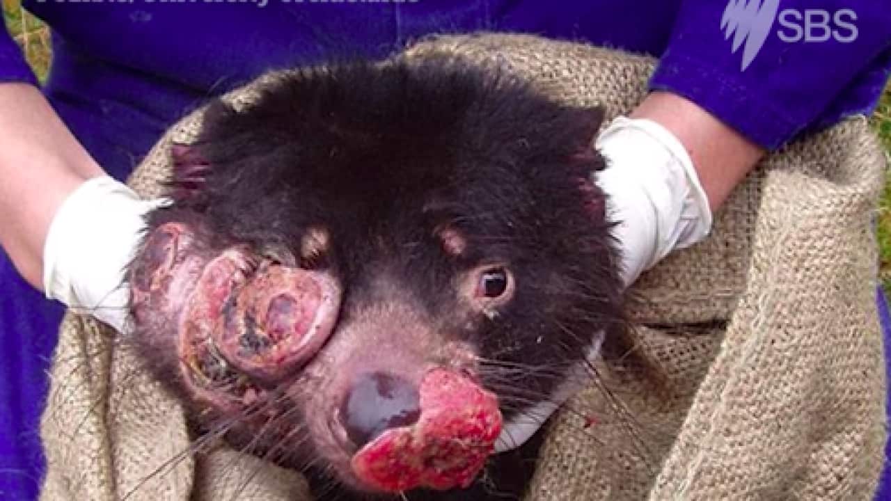 Image for read more article 'READ MORE'