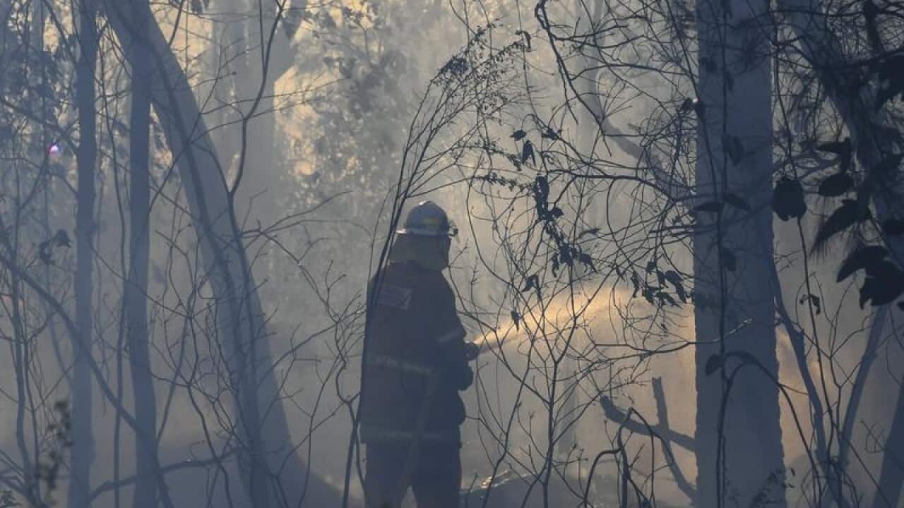 Image for read more article 'READ MORE'