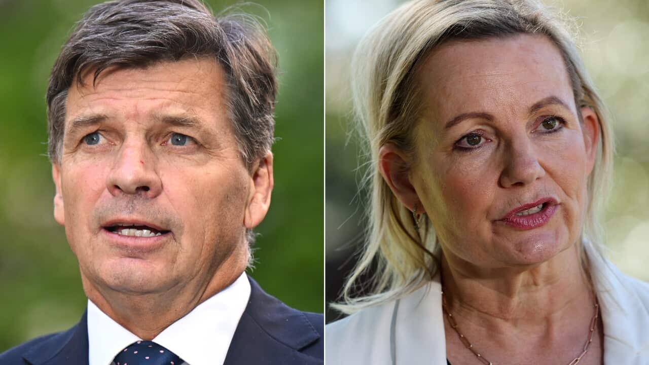 A diptych of Angus Taylor and Sussan Ley.