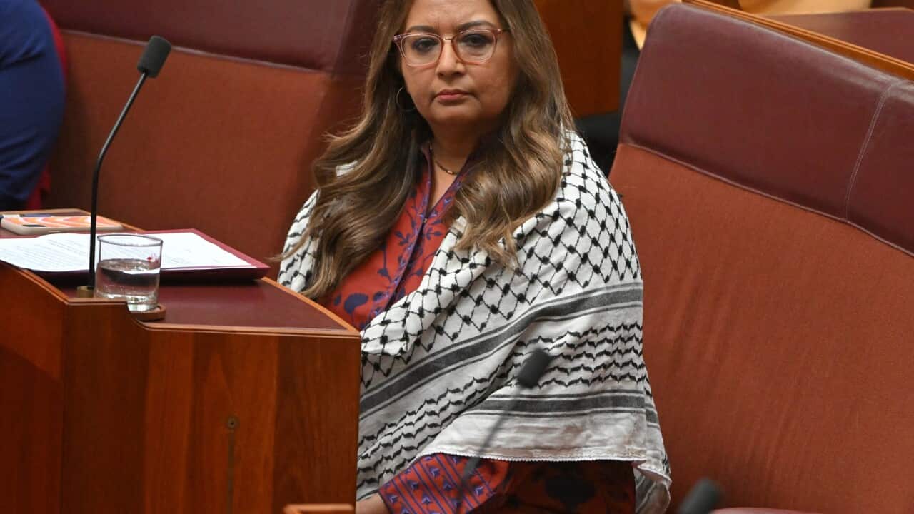 SENATE QUESTION TIME