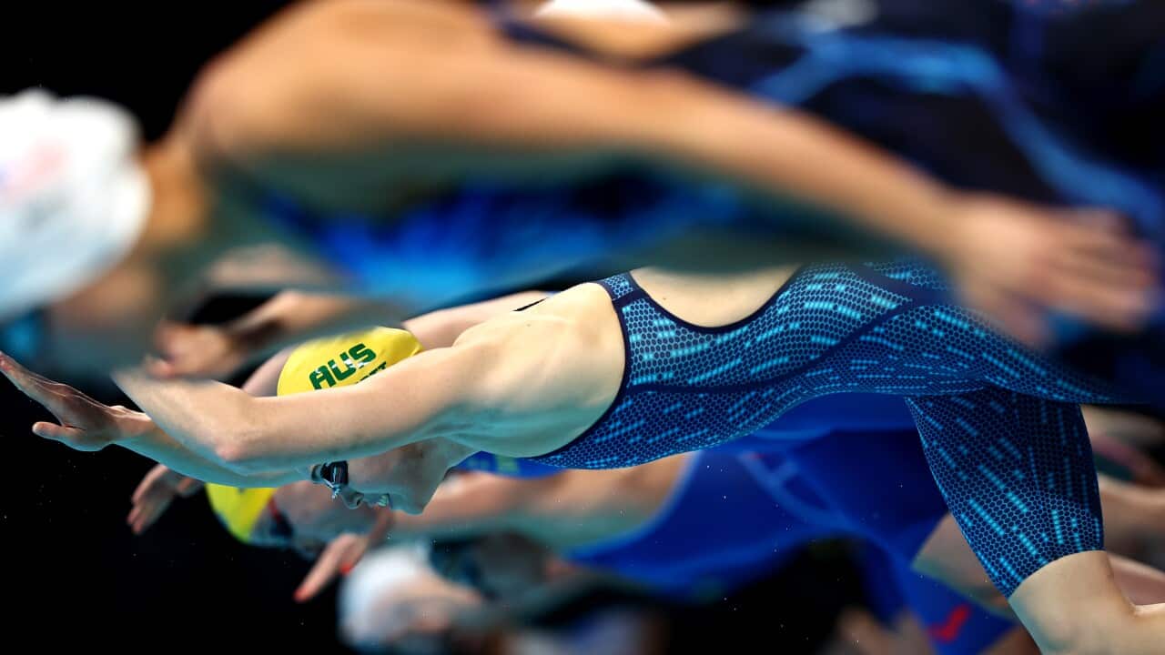 Image for read more article 'READ MORE'