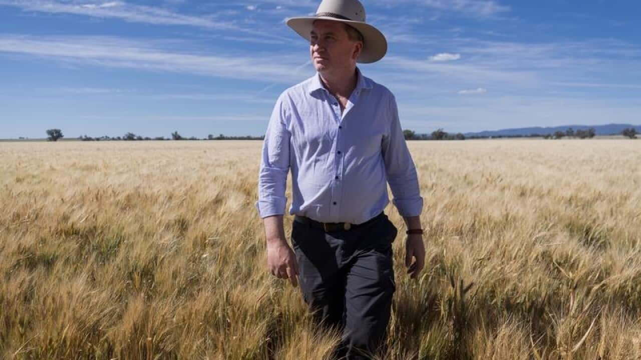 Image for read more article 'Related Reading'