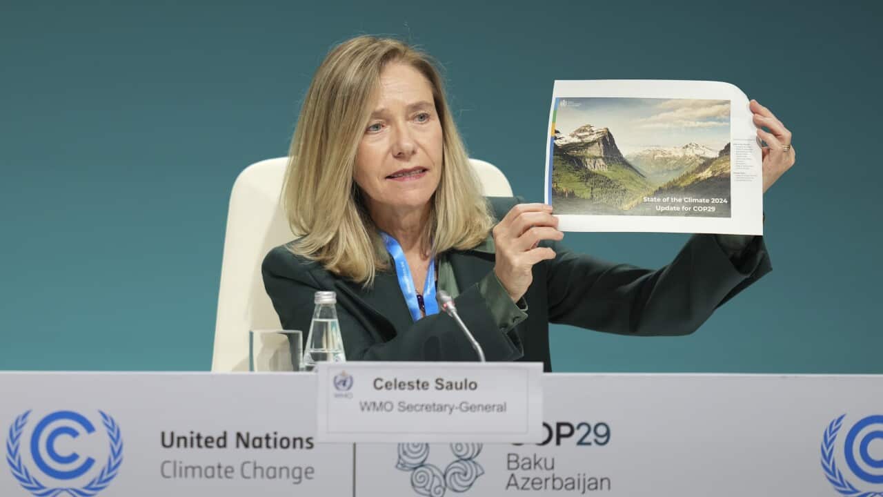 COP29 Climate Summit