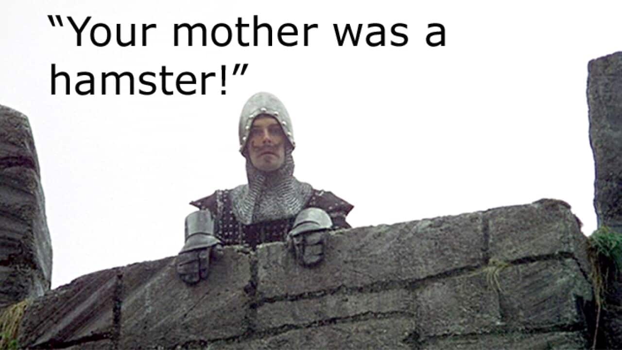 Monty Python and the Holy Grail guard
