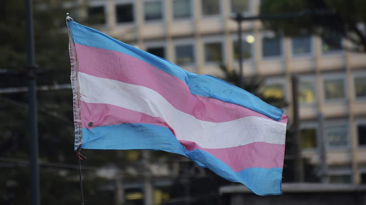 A flag featuring five horizontal stripes - from top to bottom - blue, red, white, red and blue. It represents the transgender community