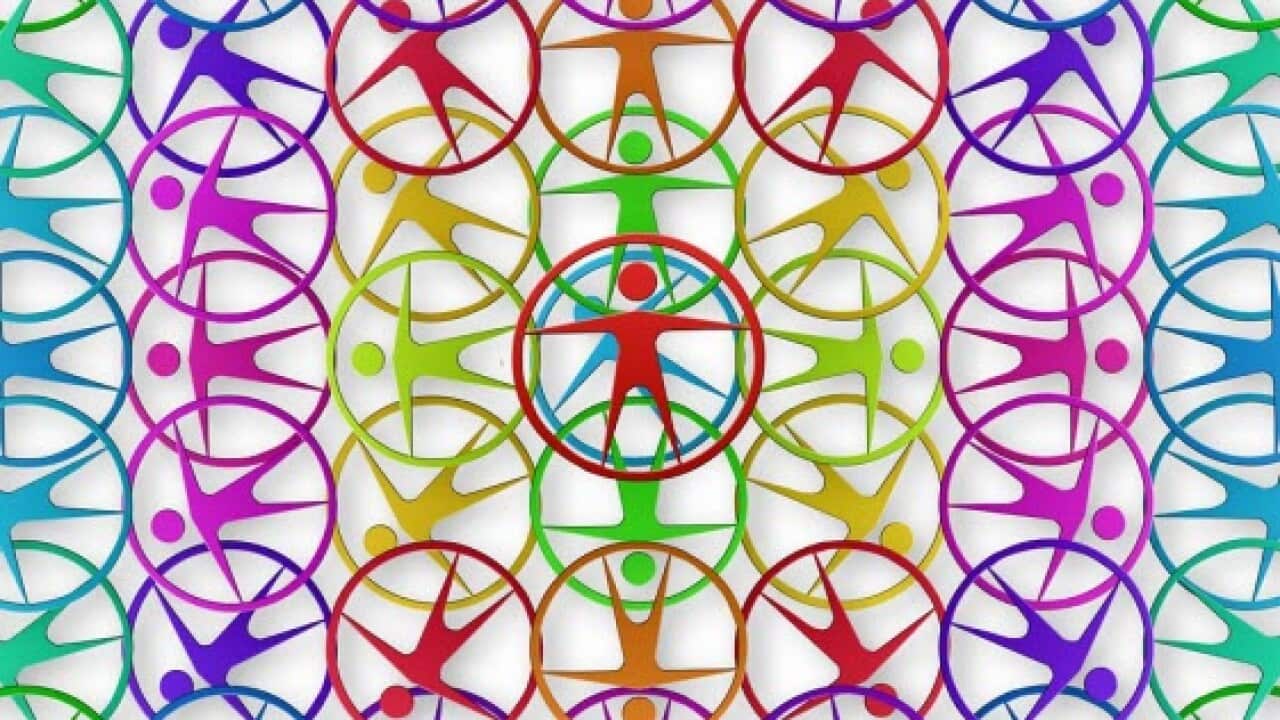Social cohesion