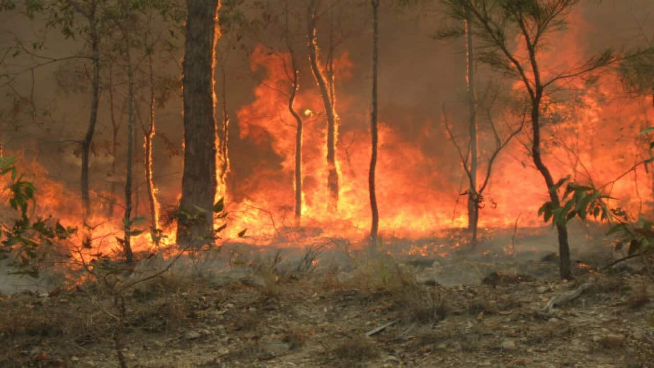 Bush_fire_at_Captain_Creek_central_Queensland_Australia