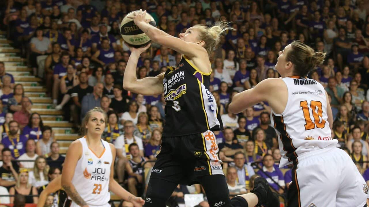 Image for read more article 'READ MORE'