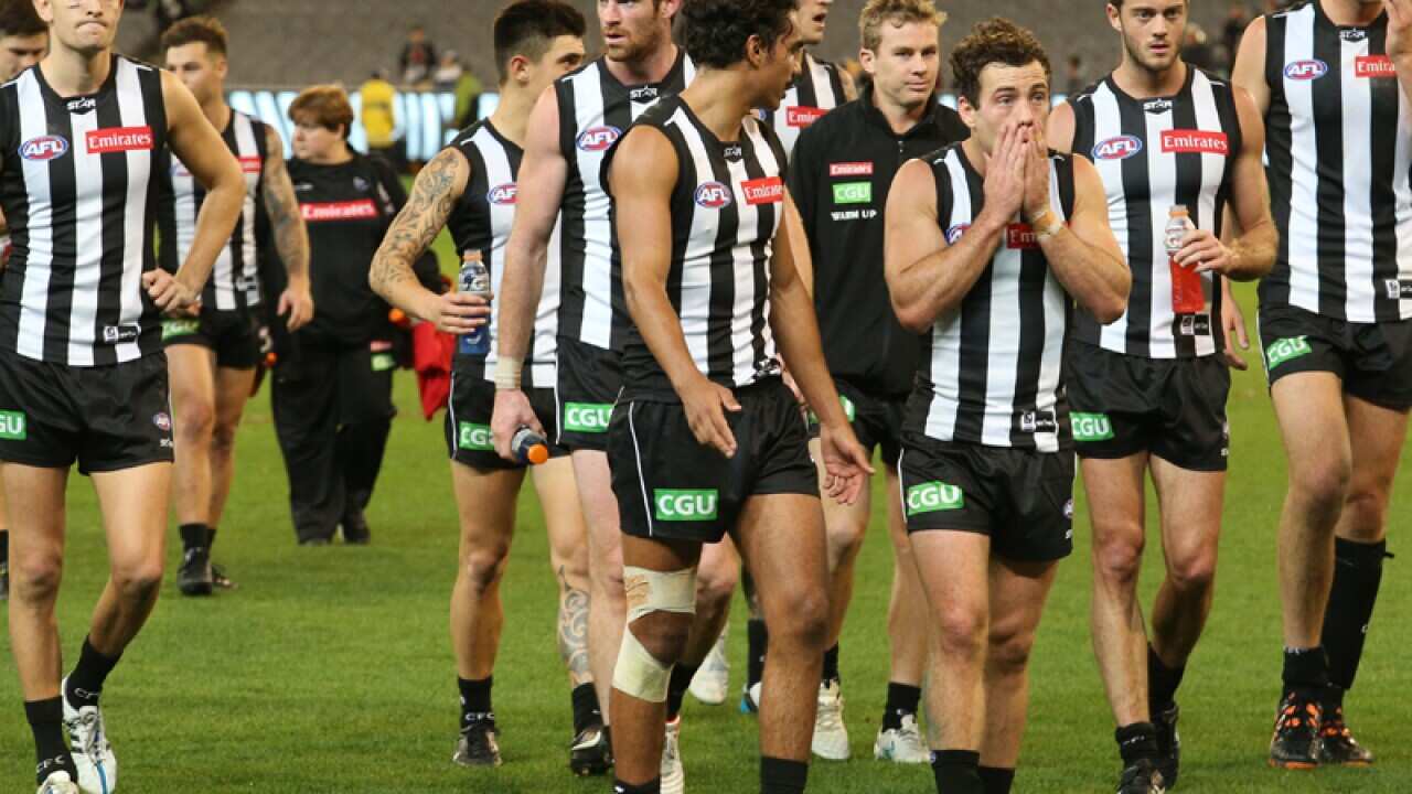 Collingwood leave the field