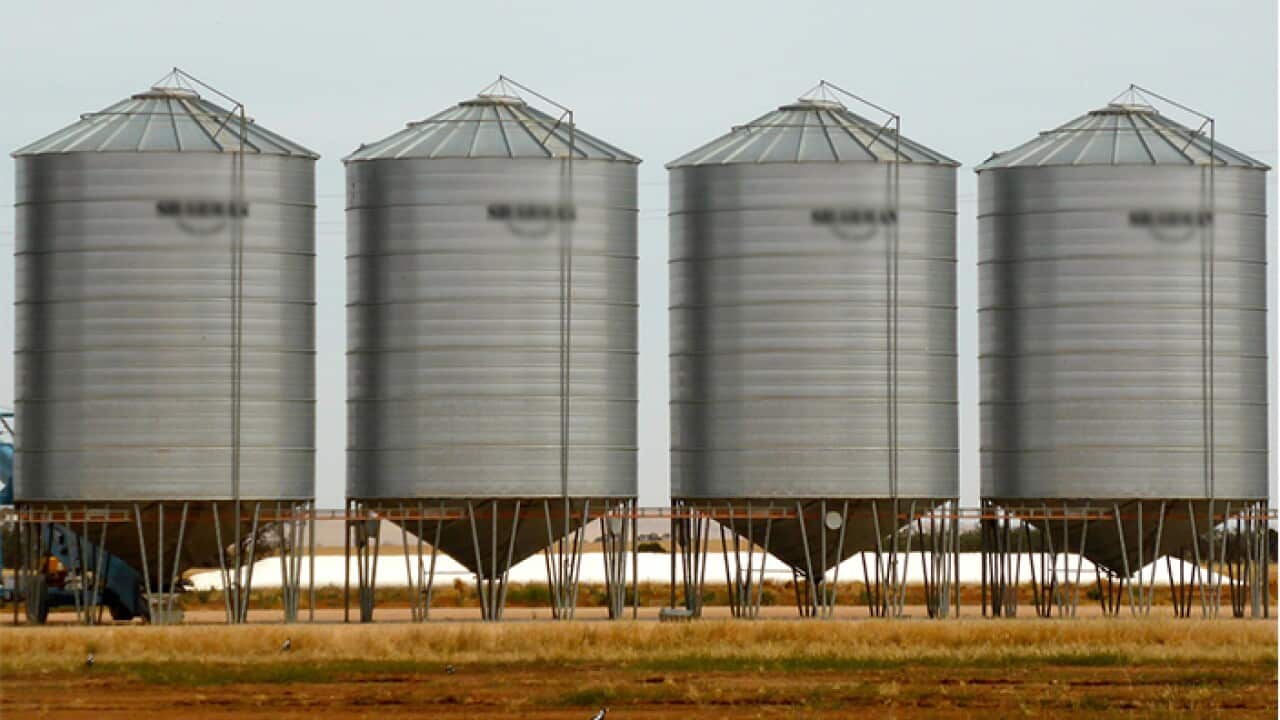 Egypt grain storage