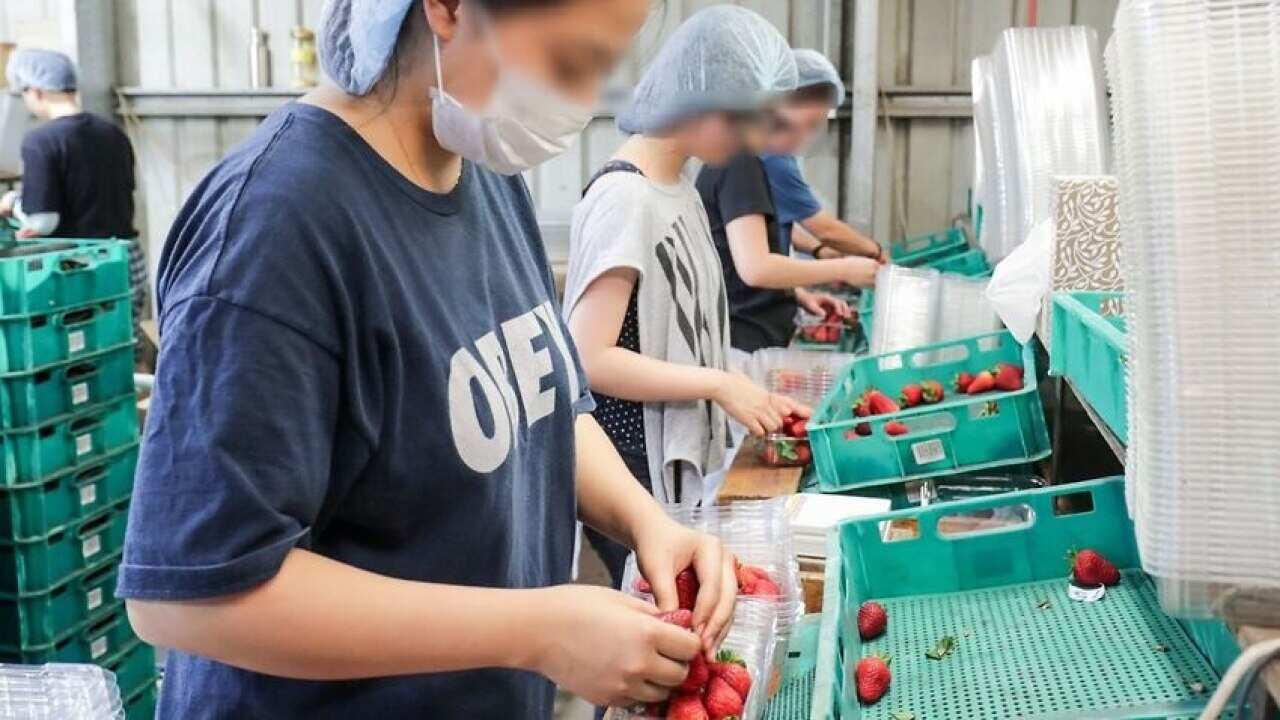 Image for read more article 'ALSO READ'