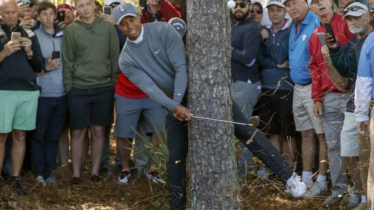 Tiger Woods