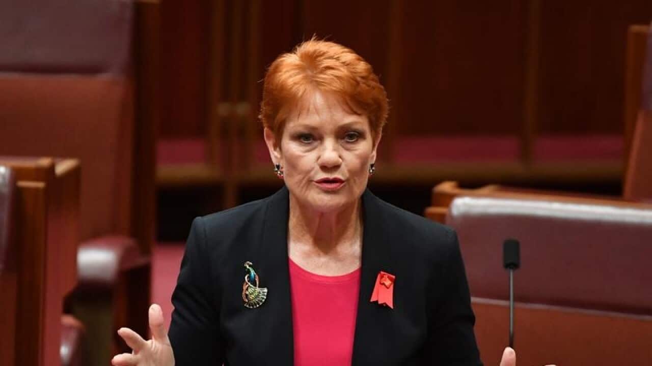 One Nation leader Senator Pauline Hanson
