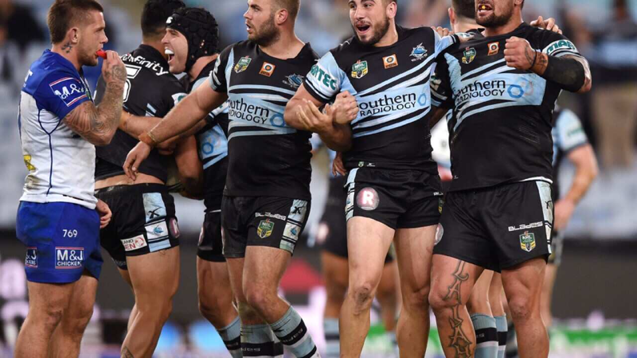 The Sharks celebrate their win