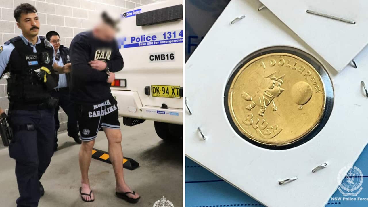 男子涉嫌盜竊及出售未發行的限量版Bluey硬幣今日出庭受審| SBS Chinese