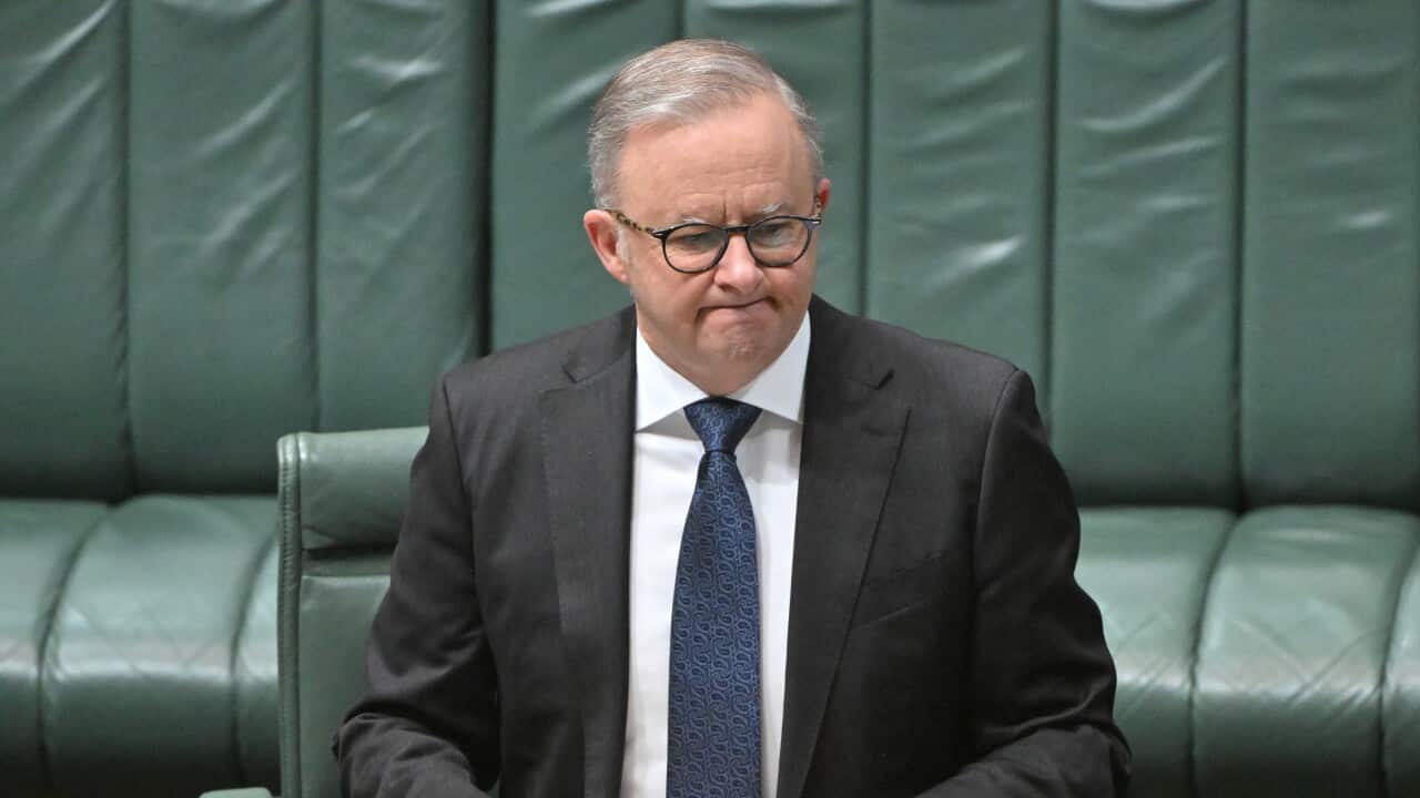 ANTHONY ALBANESE THALIDOMIDE APOLOGY