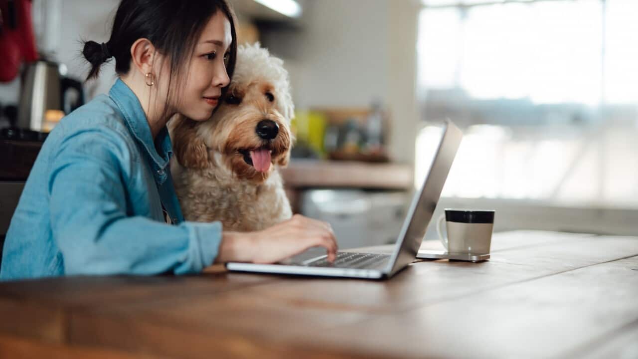 Young woman working from home with her dog
