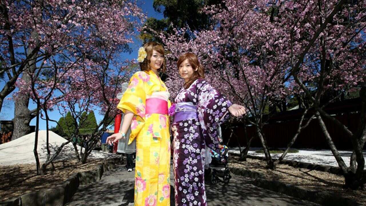 Image for read more article '更多內容'