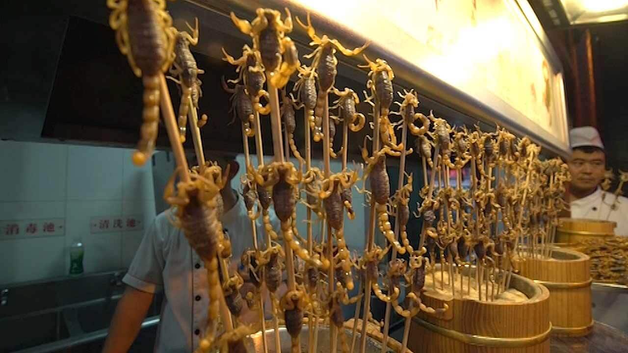 Bugs for eating