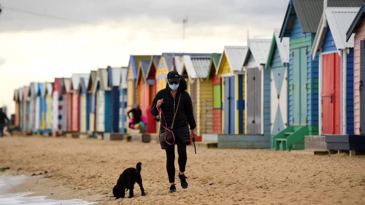 A person wearing a face mask is seen walking their dog along Brighton beach in Melbourne, Thursday, August 20, 2020. Victoria has recorded 240 new cases of coronavirus and 13 deaths in the past 24 hours. (AAP Image/James Ross) NO ARCHIVING