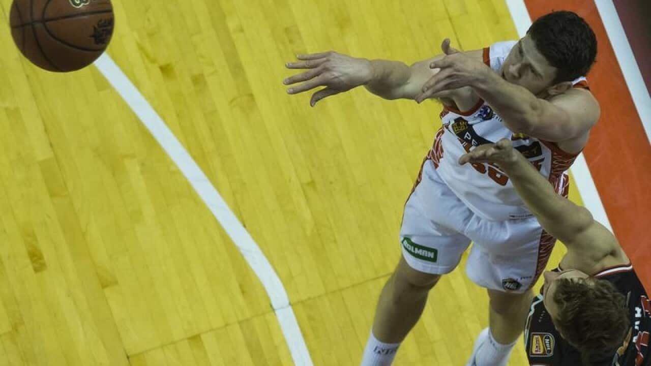 Clint Steindl