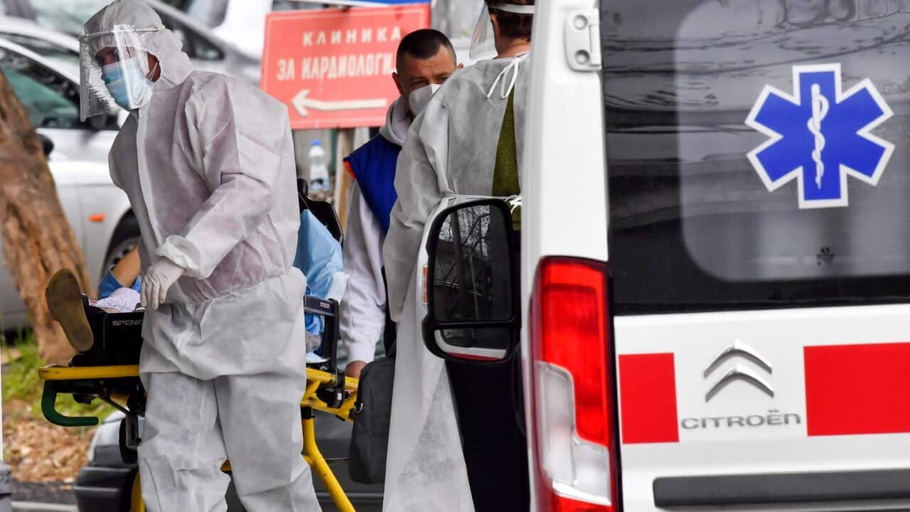 Homeland report, SBS Macedonian,