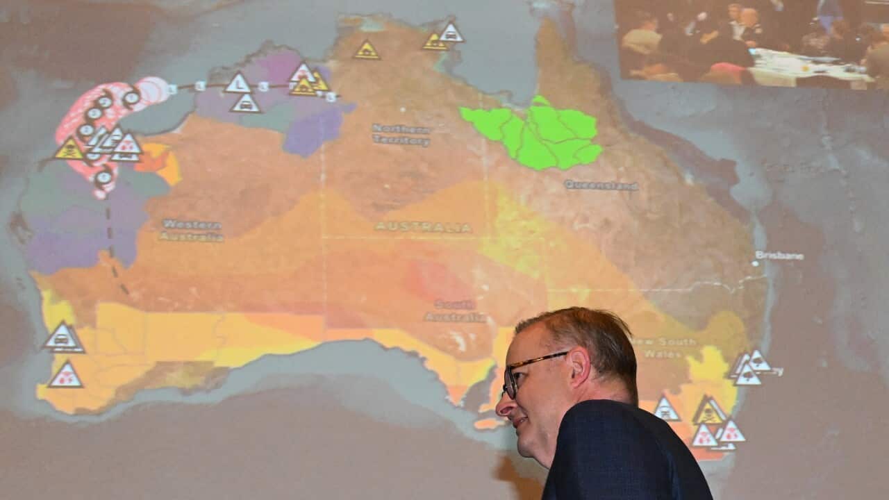 ANTHONY ALBANESE NATIONAL BUSHFIRE SUMMIT
