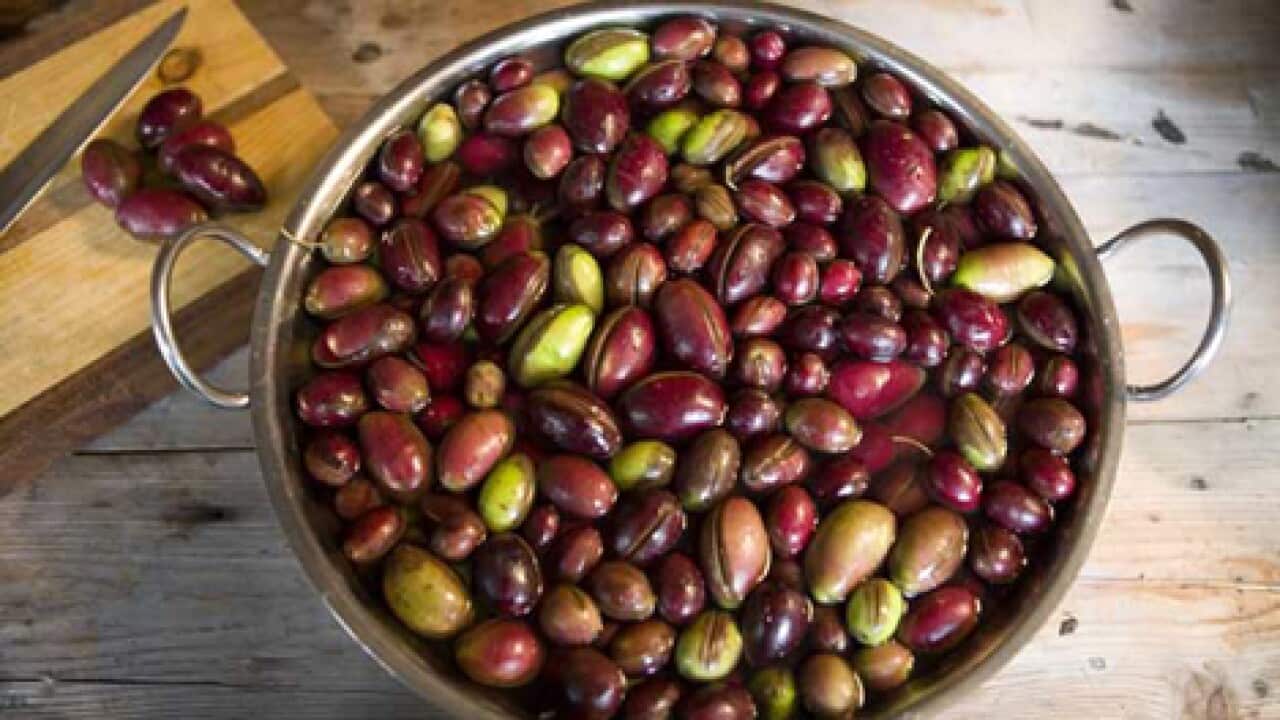 Image for read more article 'OLIVE RECIPES'