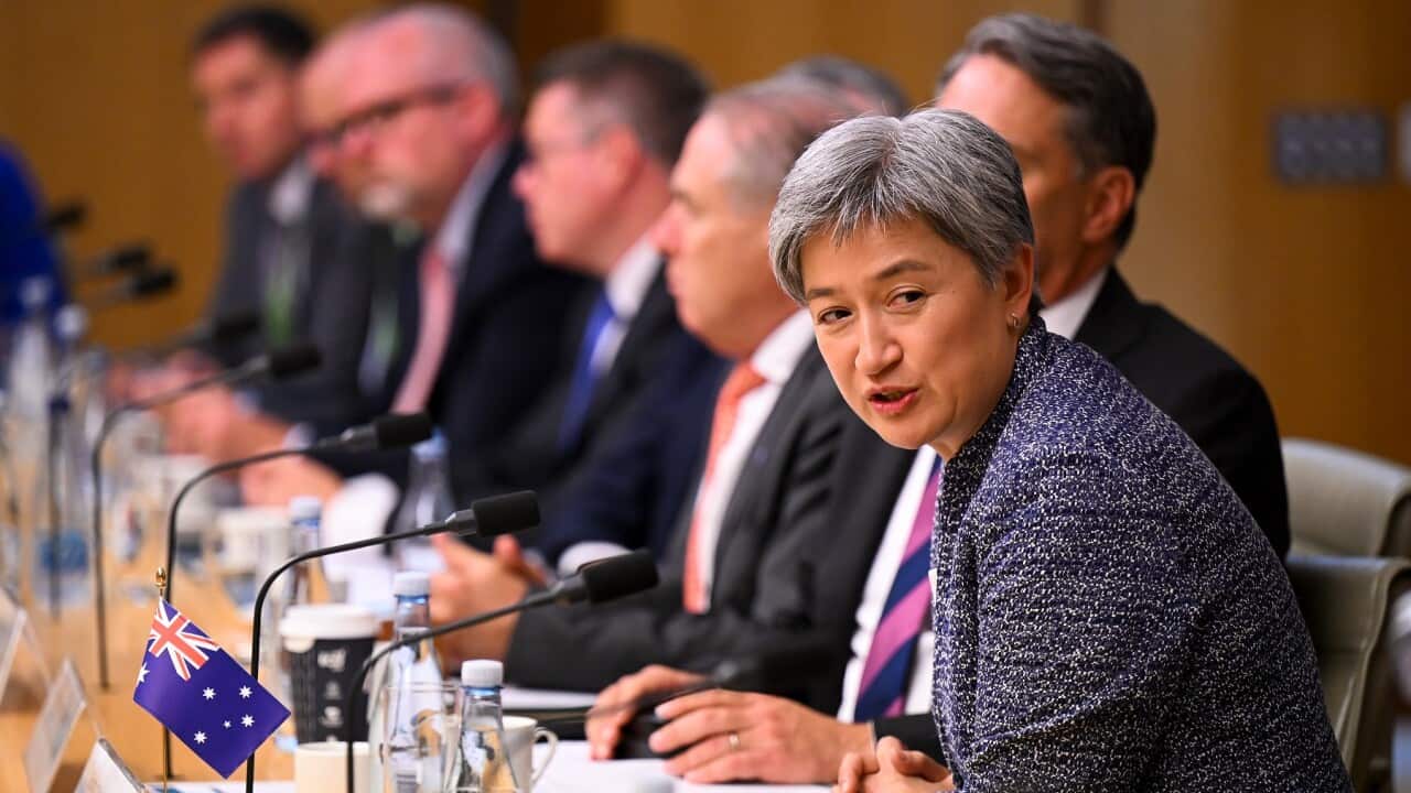 Australian Foreign Minister Penny Wong addresses the Australia-Papua New Guinea Ministerial Forum (AAP)