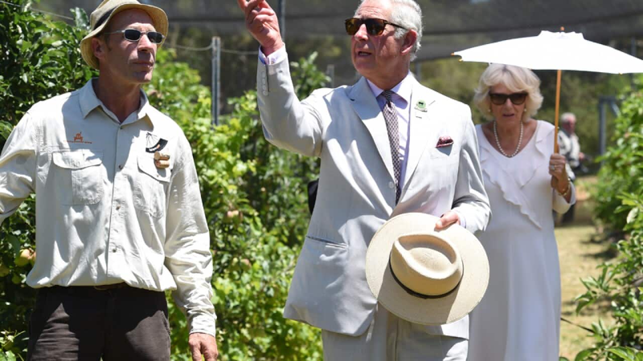 Image for read more article 'Related reading'