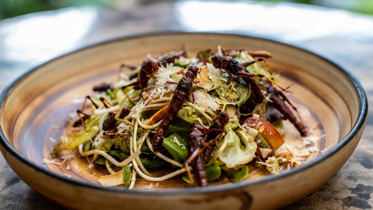 A salad garnished with fried whole crickets.