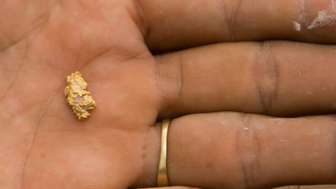 Brazil Amazon Gold Rush