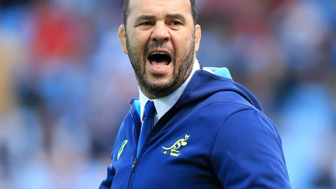 Australia head coach Michael Cheika