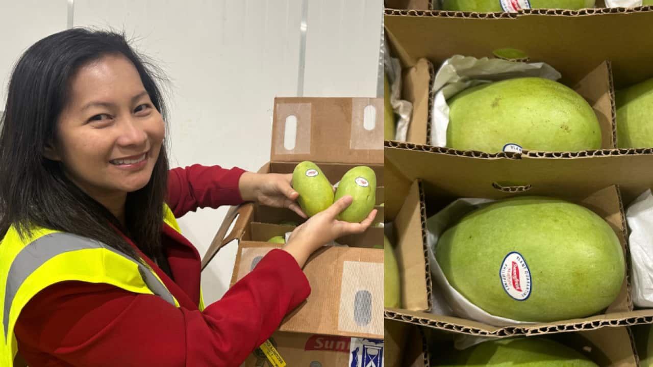 Image for read more article 'RELATED CONTENT'