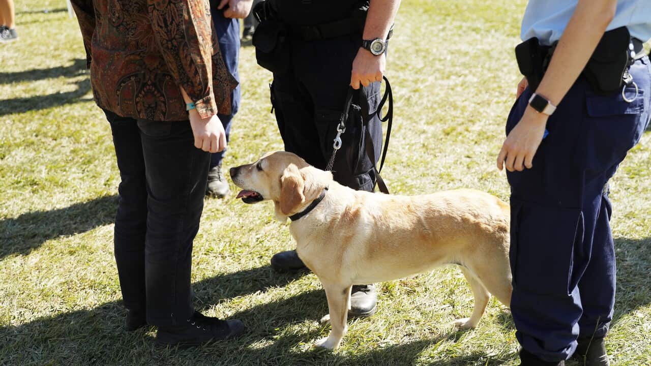 Image for read more article 'READ MORE'