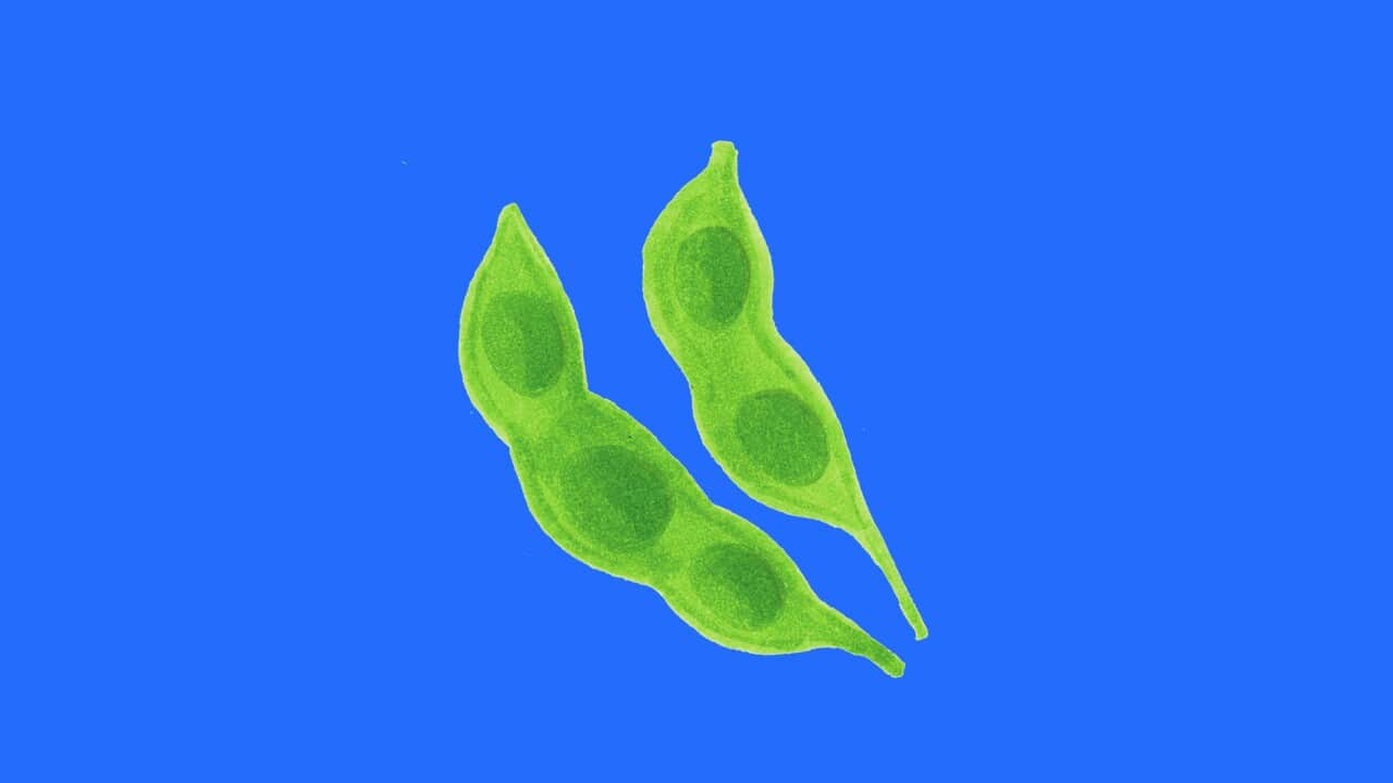EPISODE_EDAMAME.jpg