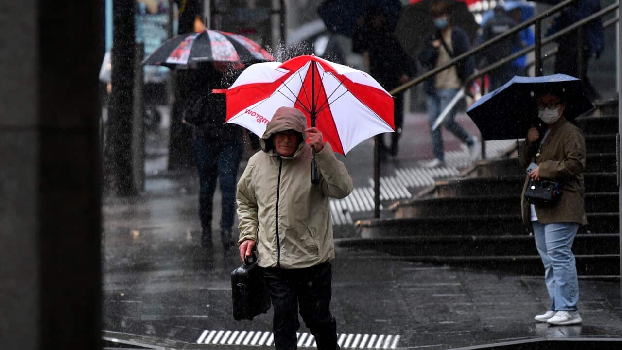 A person holds a red and white umbrella over their head as they cross a wet road.