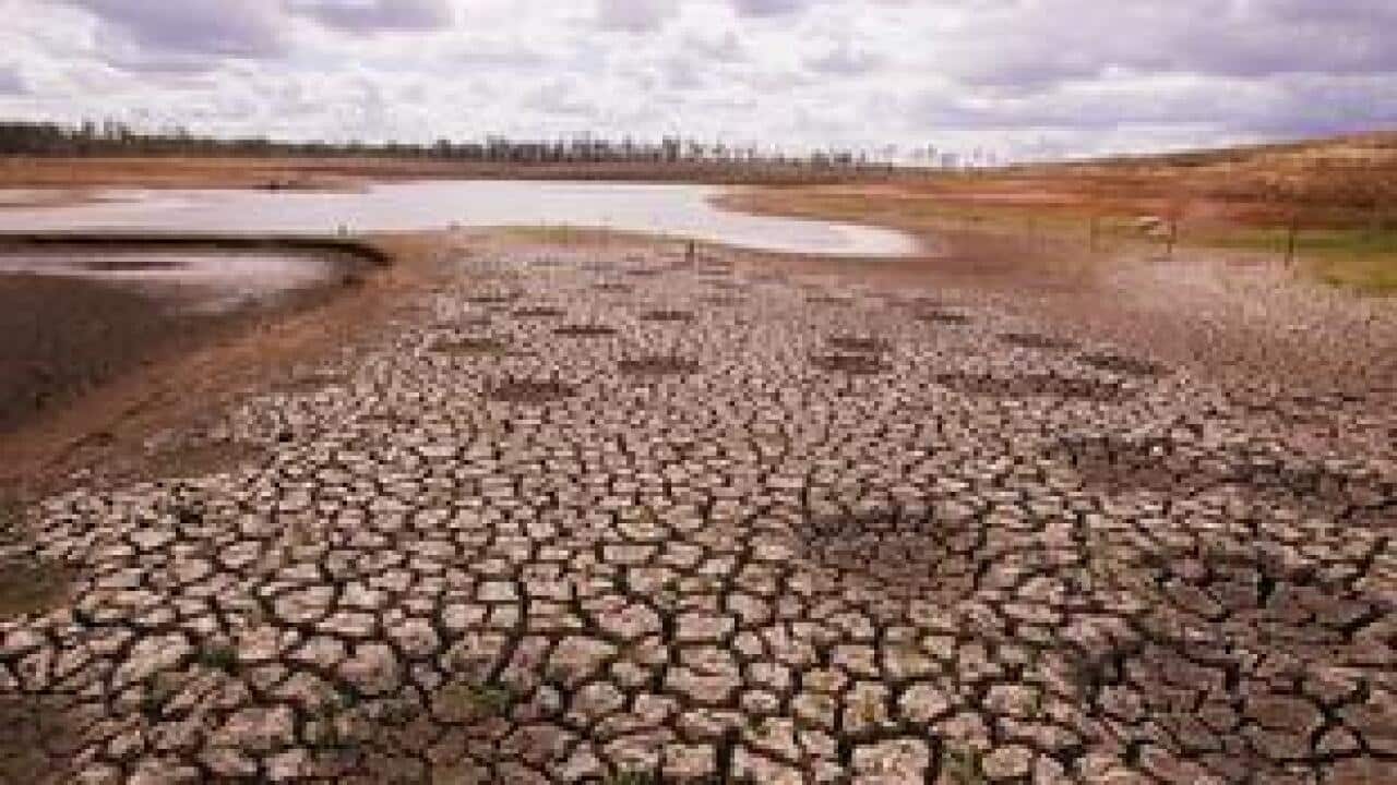 climate