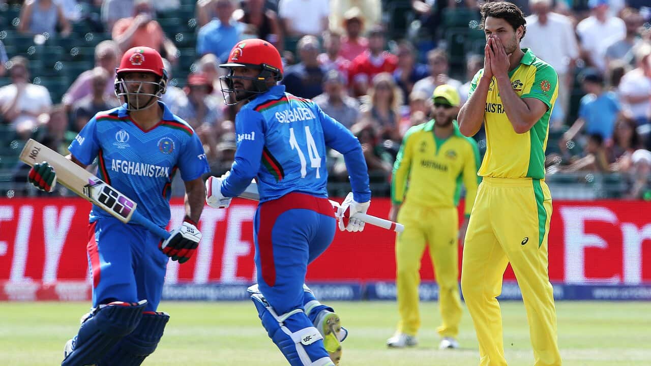 Image for read more article 'READ MORE'