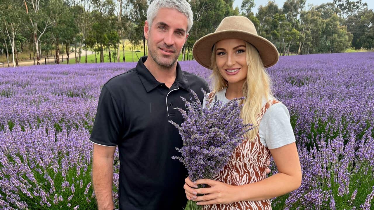 Thomas Mahar and Nicole Jordan at their lavender farm in South Australia (SBS-Sandra Fulloon).jpg