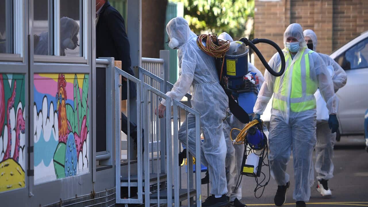 Image for read more article 'READ MORE'