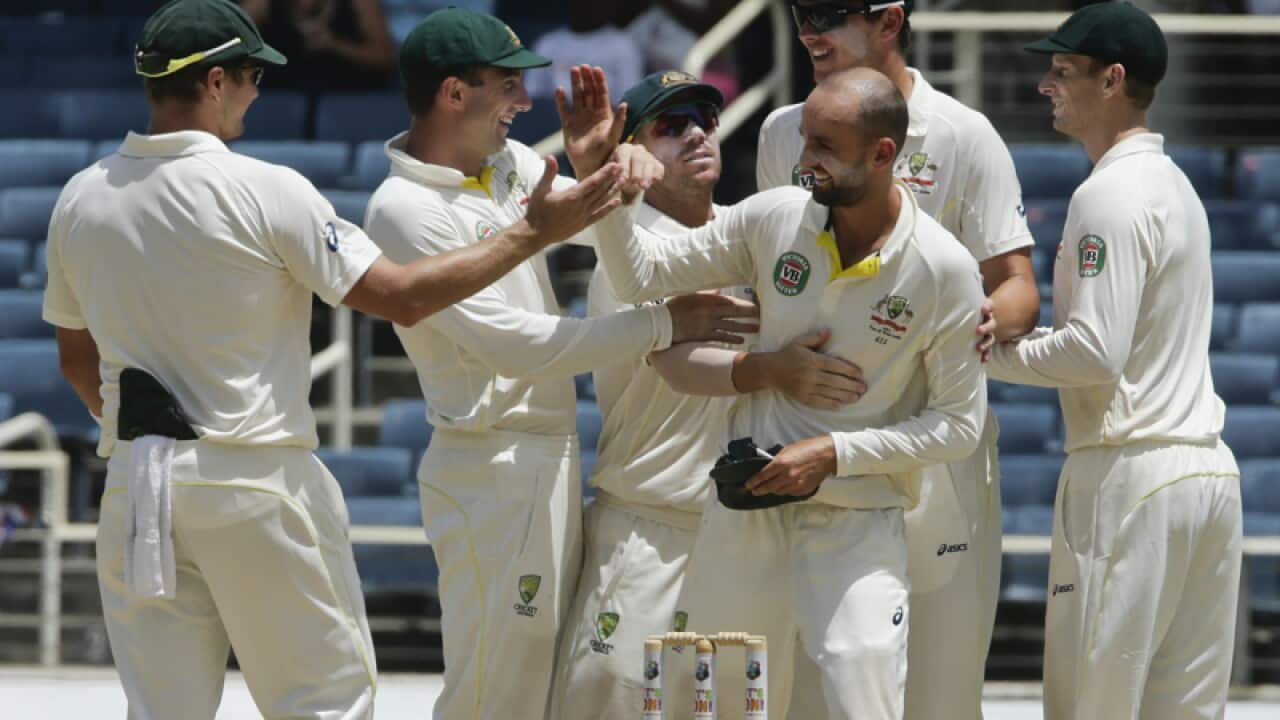 Australian cricketers celebrate after claiming a wicket